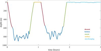 Exposure to whale watching vessels affects dive ascents and resting behavior in sperm whales
